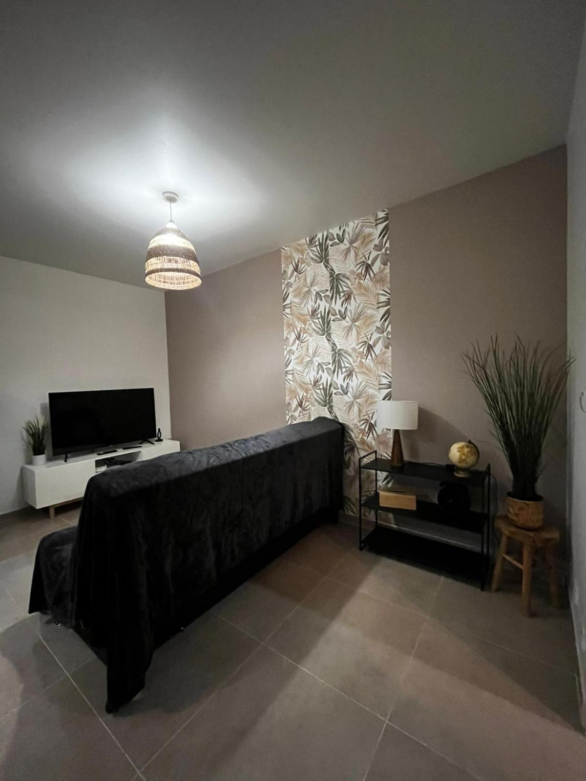 Appartement Des Carmes Νιμ Εξωτερικό φωτογραφία